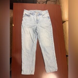 American Eagle Outfitters Light Blue Short Mom Jeans